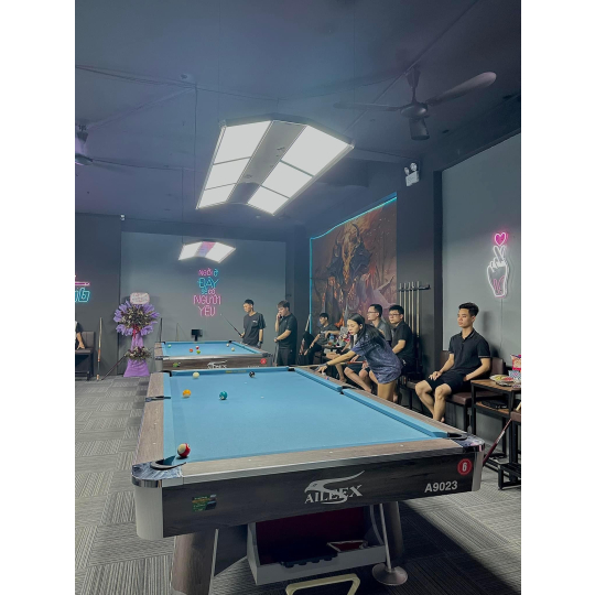 AILEEX LIÊN DOANH